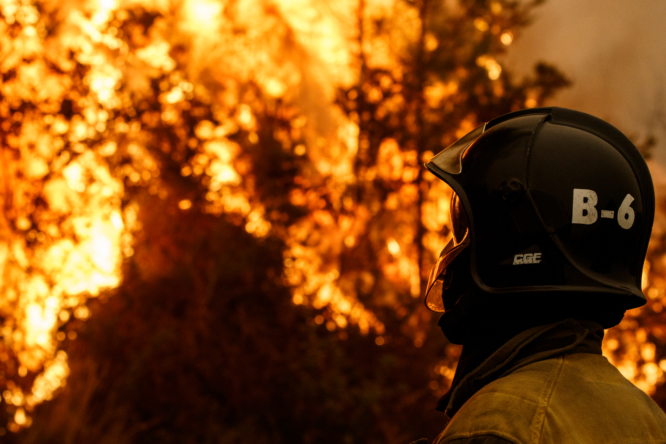 bombero forestal en un incendio