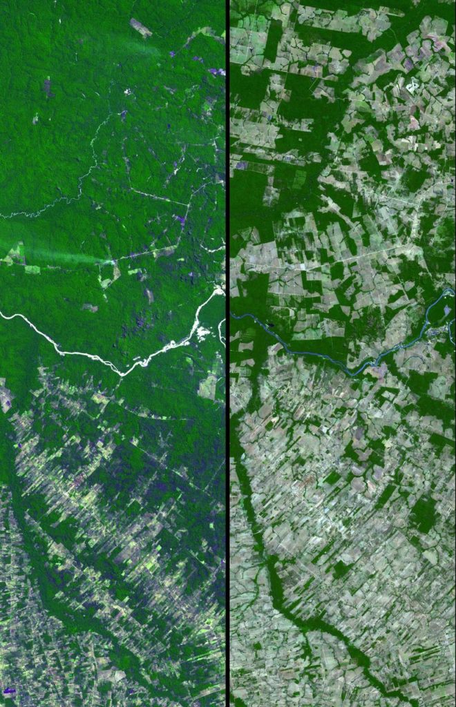Imagen de la NASA tomada por satélite de la deforestación del Mato Grosso