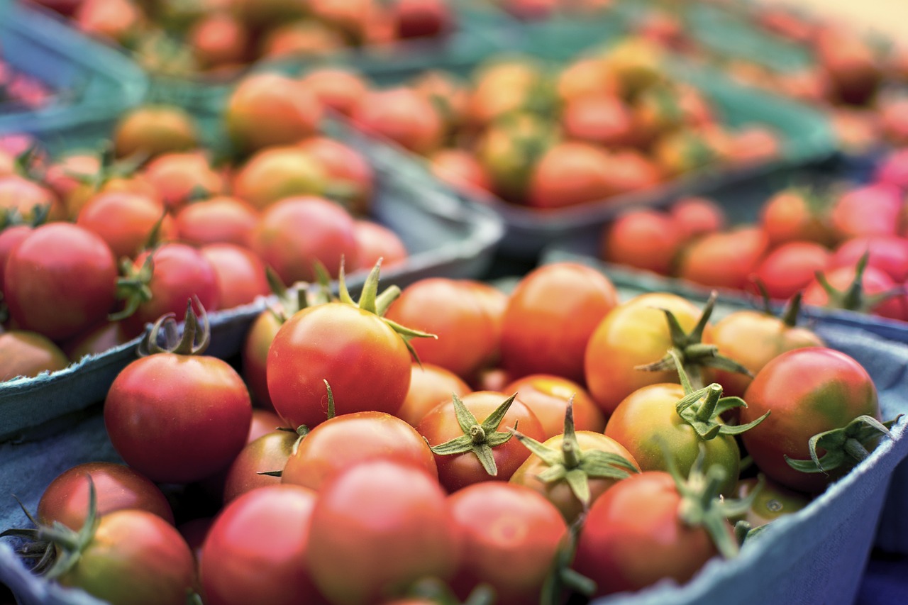 prácticas agrícolas y seguridad alimentaria