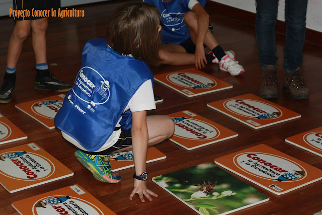 Niño jugando a un memory gigante