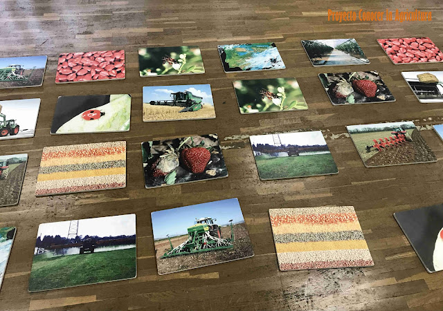 tarjetas de un memory gigante dispuestas en el suelo