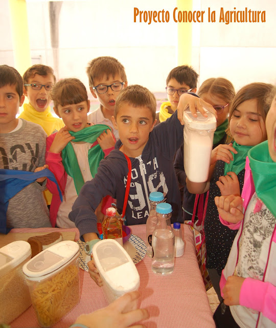 niño en una actividad sobre alimentos