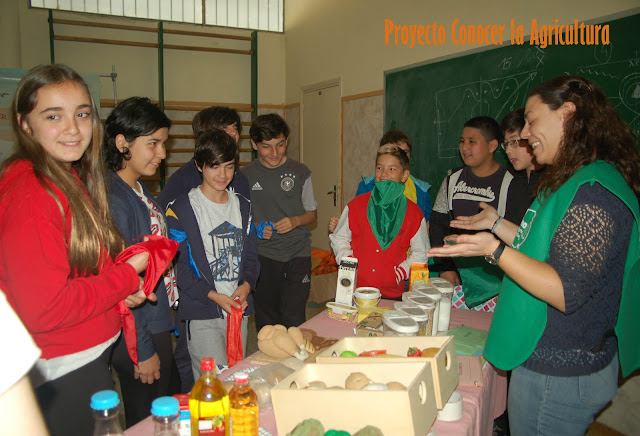 Monitora explicando juego sobre alimentos