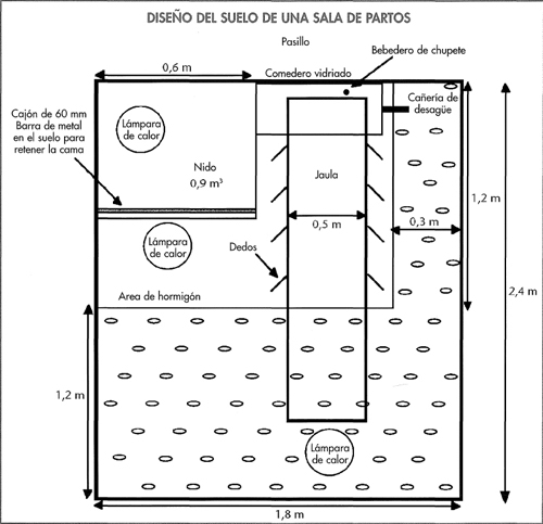 Diseño del suelo en una sala de partos