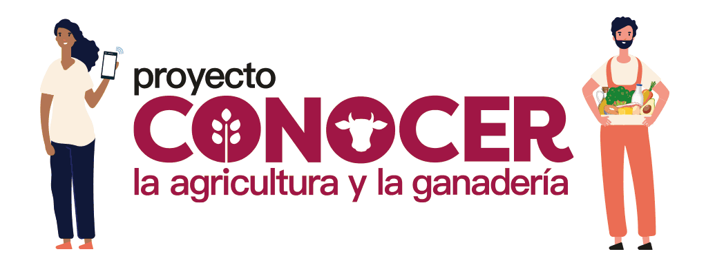 banner conocer 1024x385