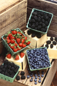 Por Scott Bauer, USDA ARS - This image was released by the Agricultural Research Service, the research agency of the United States Department of Agriculture, with the ID K7229-19 (next)., Dominio público, https://commons.wikimedia.org/w/index.php?curid=232162