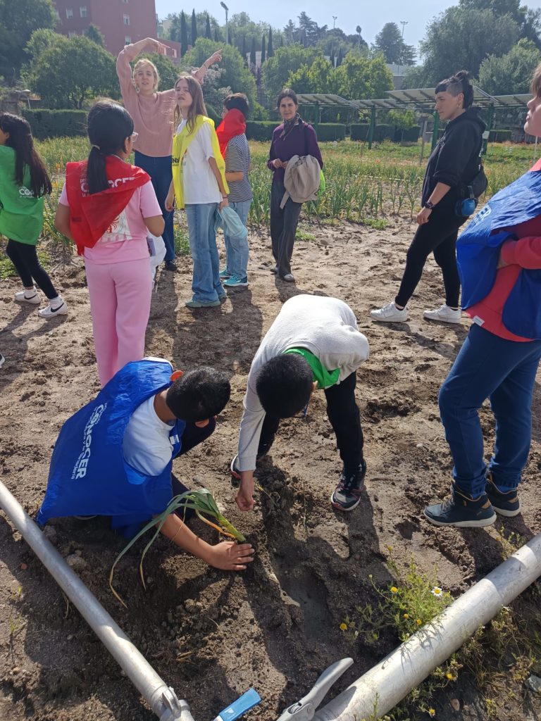 niños plantando durante la actividad Conocer la Agricultura