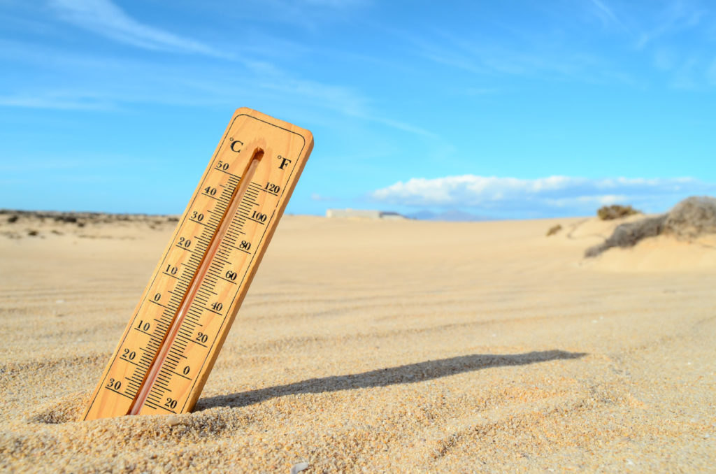 termómetro en la arena del desierto