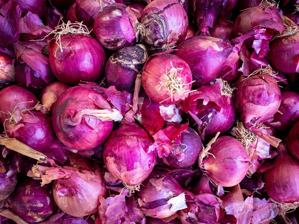 cebolla morada