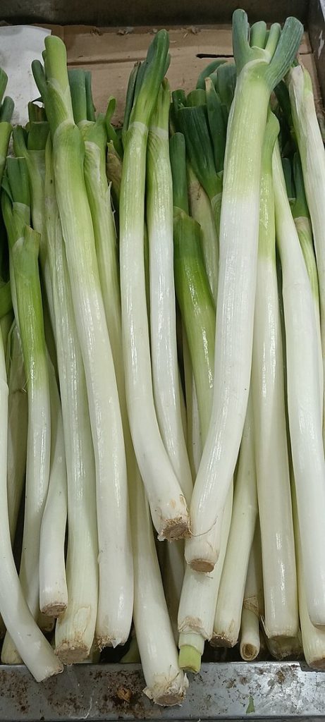 cebolleta o green onion