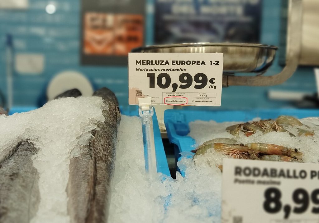 merluza a la venta en una pescadería
