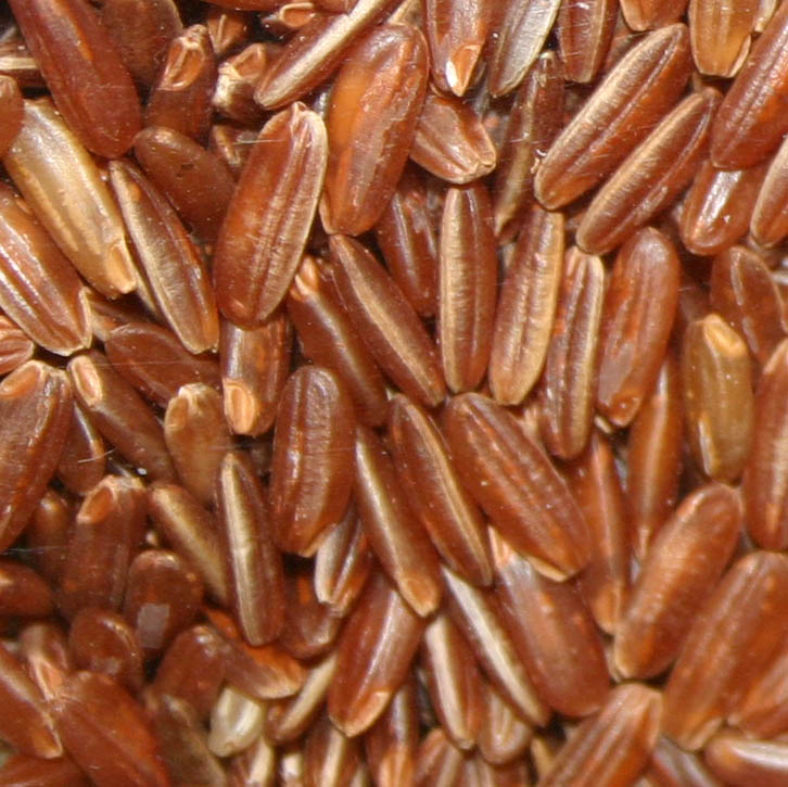 Granos de arroz africano