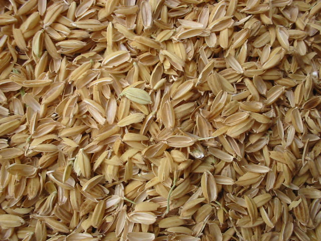 Cáscara de arroz