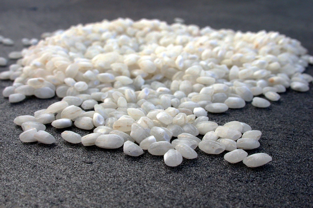 detalle de granos de arroz
